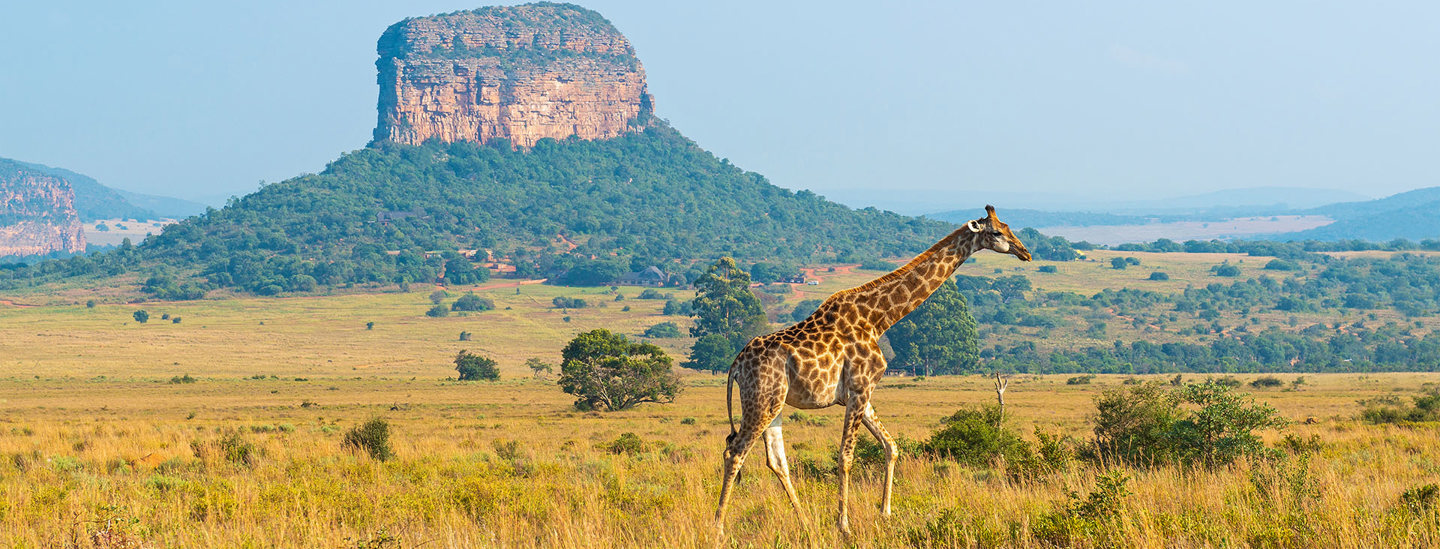 Adobestock 604157779