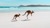 Discover the dual wonders of Western and South Australia
