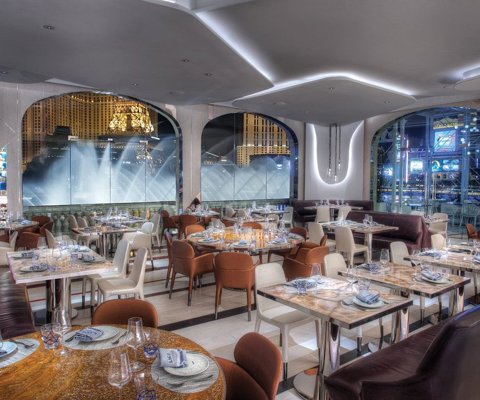 International culinary adventures