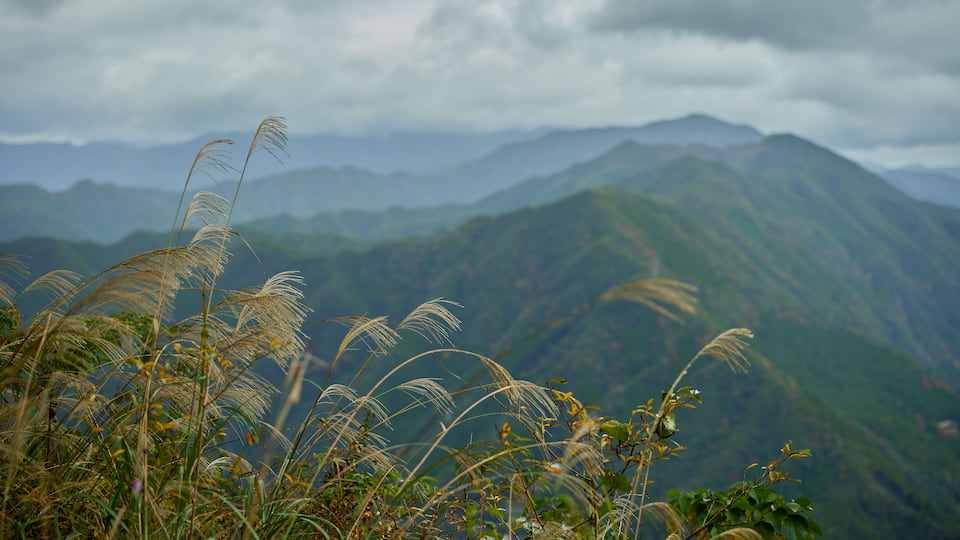 Explore the distinctive charm of Mie, Japan