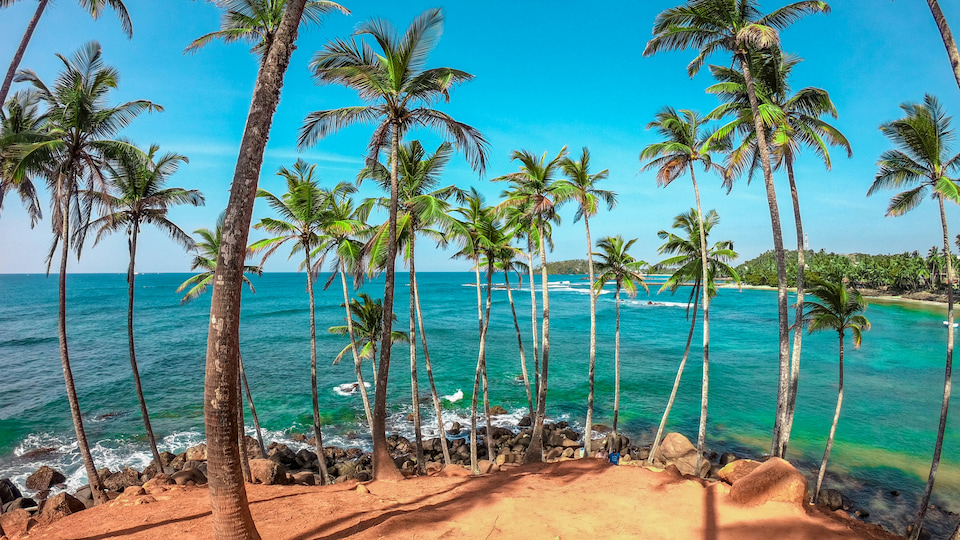 The perfect introduction to Sri Lanka: first tastes, wild sights, & coastal delights