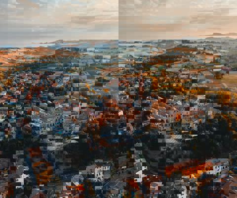 Michelin-starred dining