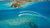 Where to stay, eat, and explore in Bermuda