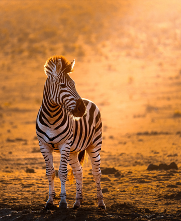 South Africa