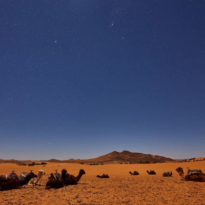 Sleep under Saharan stars