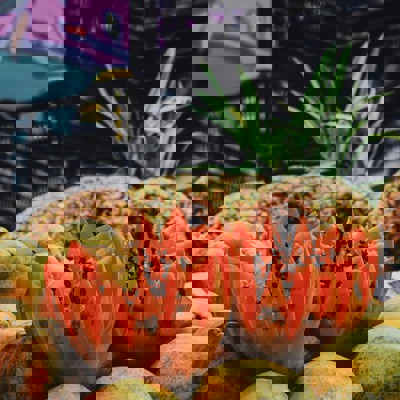 Fresh tropical fruits