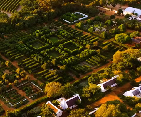 Farm-to-table in Franschhoek
