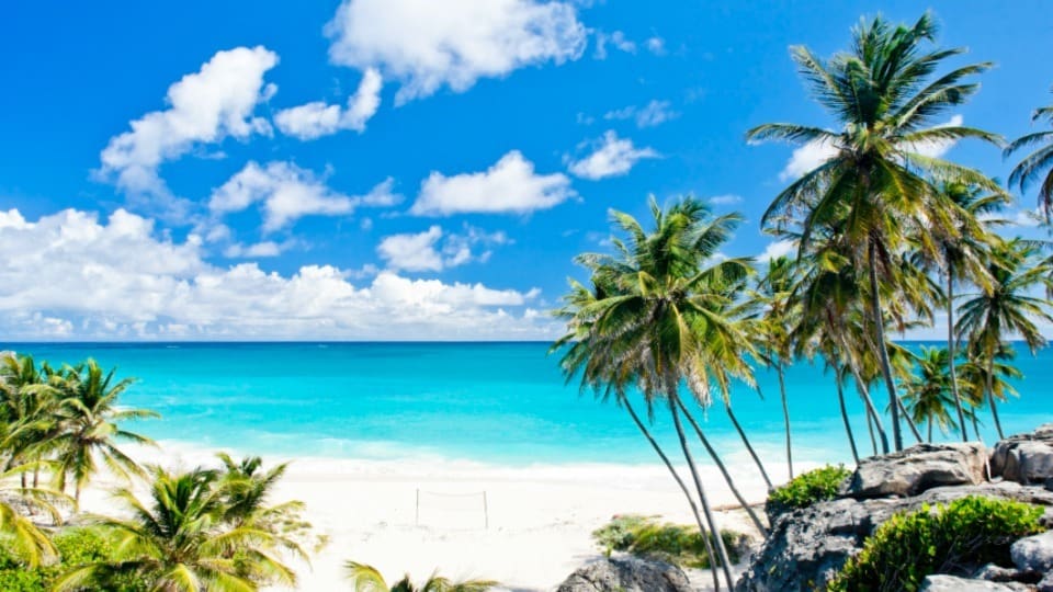 Journey from the Big Apple to blissful Barbados