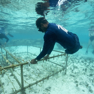 Eco-friendly adventures