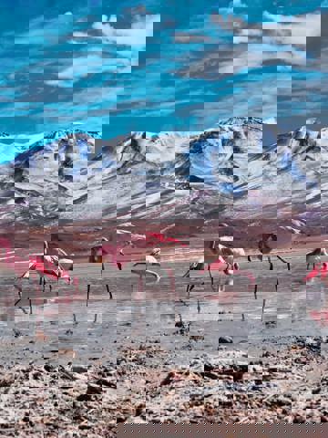 Adventure Through Atacama’s Desert Landscapes