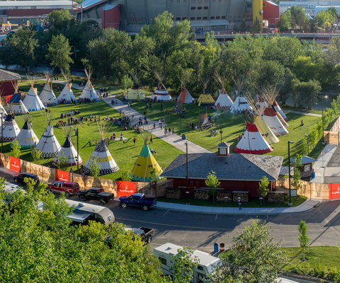 Indigenous‑inspired and wild ingredients