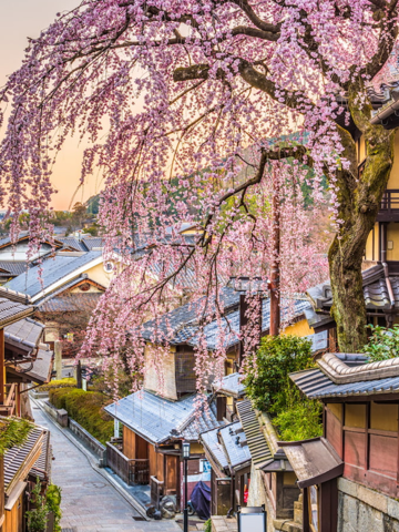 Historic food market bites
