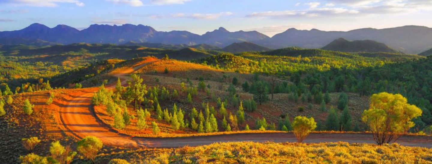 Adobe Express File 2025 03 10T143116 091