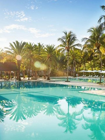 The Ravenala Attitude