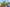 Discover the magic of Walt Disney World Resort in 2025 