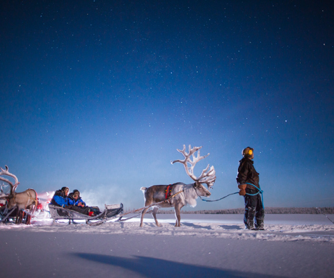 Harriniva Adventure Resort