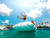 Think you know the Maldives? Siyam World may surprise you