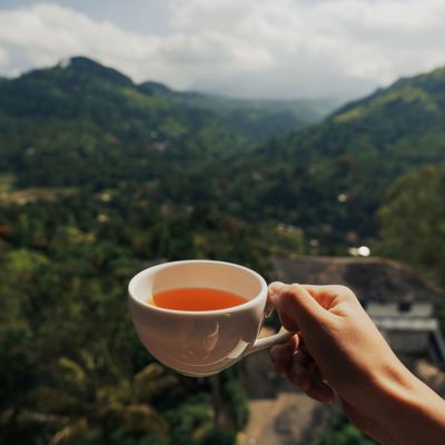 Tea, sweets, and bakery treats