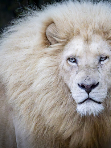 Go on safari in the Eastern Cape